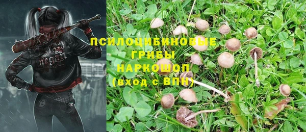прущий лед Верхний Тагил