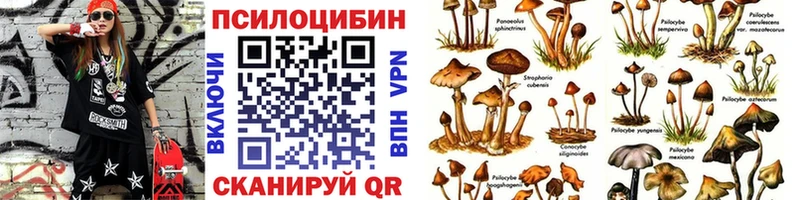 купить наркотики сайты  Медынь  Галлюциногенные грибы мухоморы 